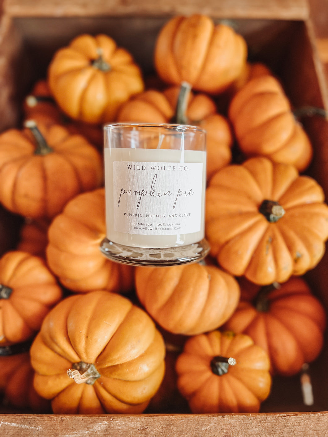 Pumpkin Pie